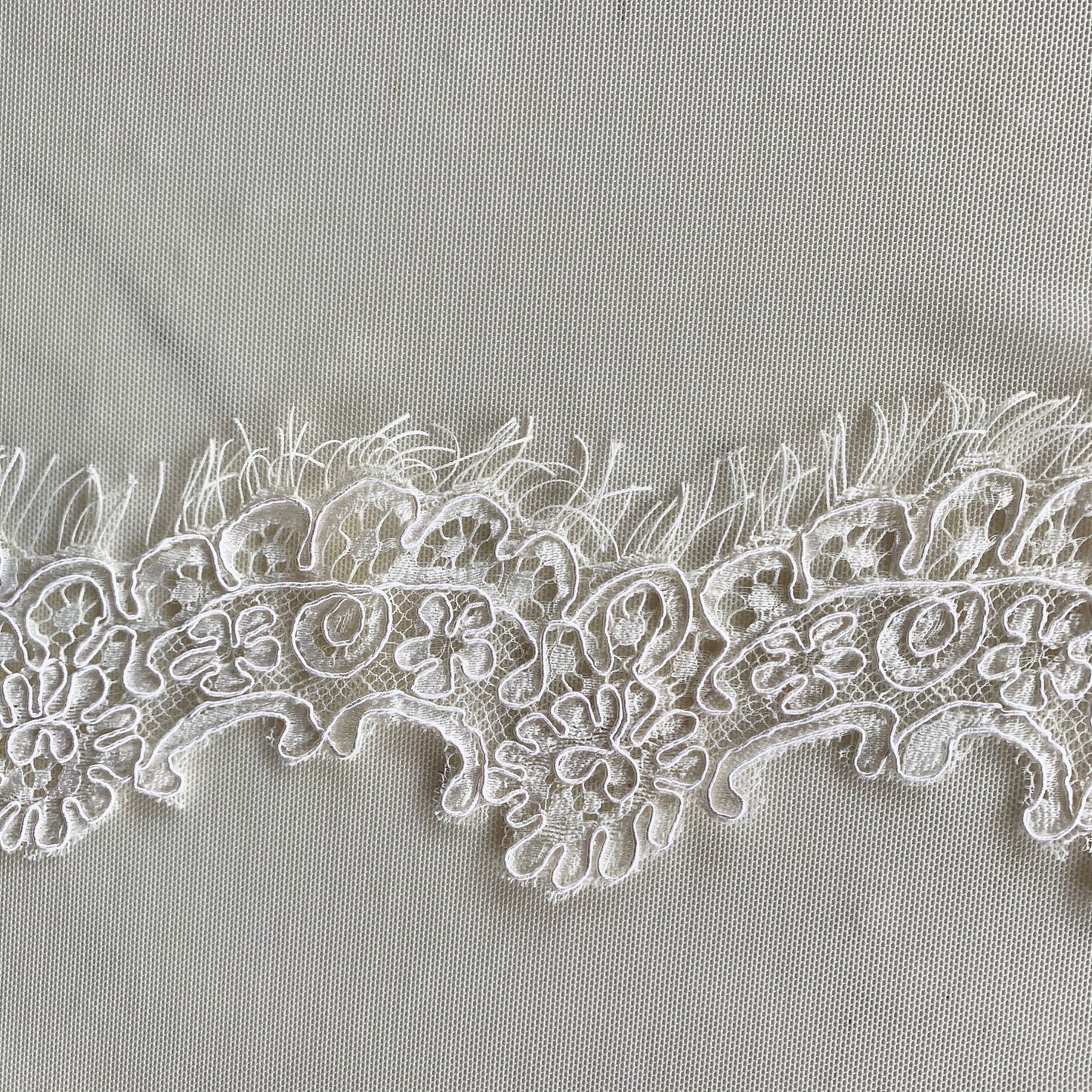 Featuring ingrid an ivory colored Scalloped rayon and nylon lace with corded embroidery and eyelash on trim in closeup