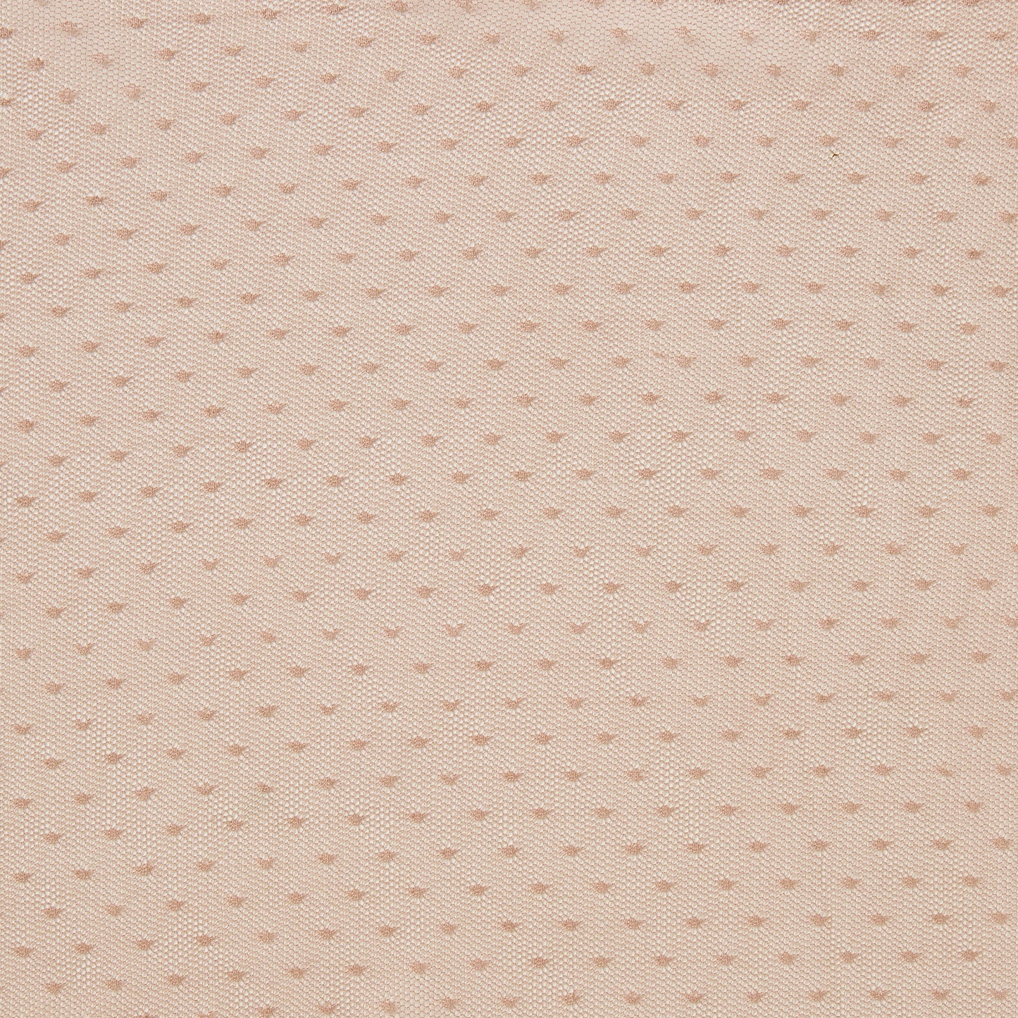 brigitte displaying the dusty color version plain dot embroidered pure polyester blush mesh 