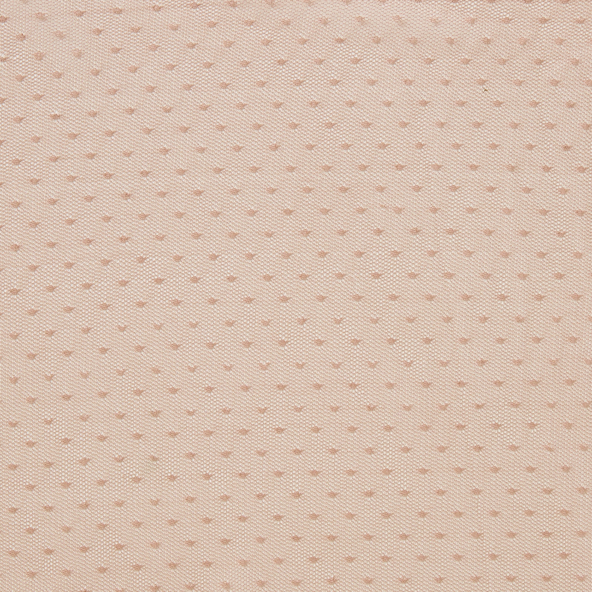 brigitte displaying the dusty color version plain dot embroidered pure polyester blush mesh 