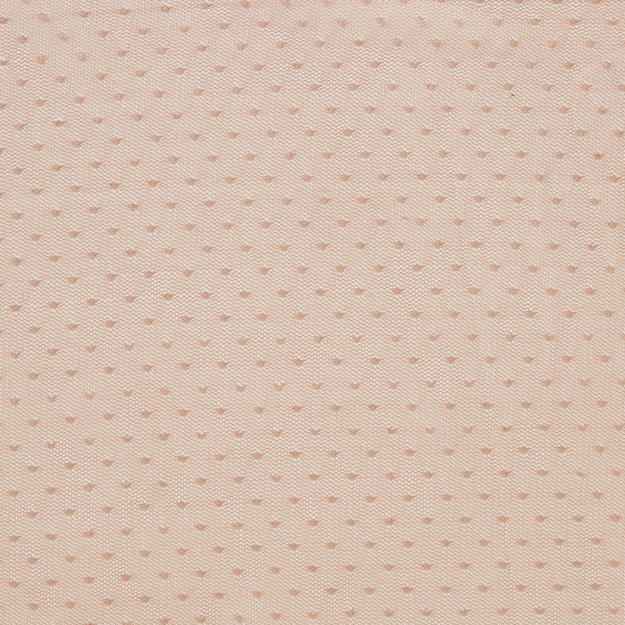 brigitte displaying the dusty color version plain dot embroidered pure polyester blush mesh 
