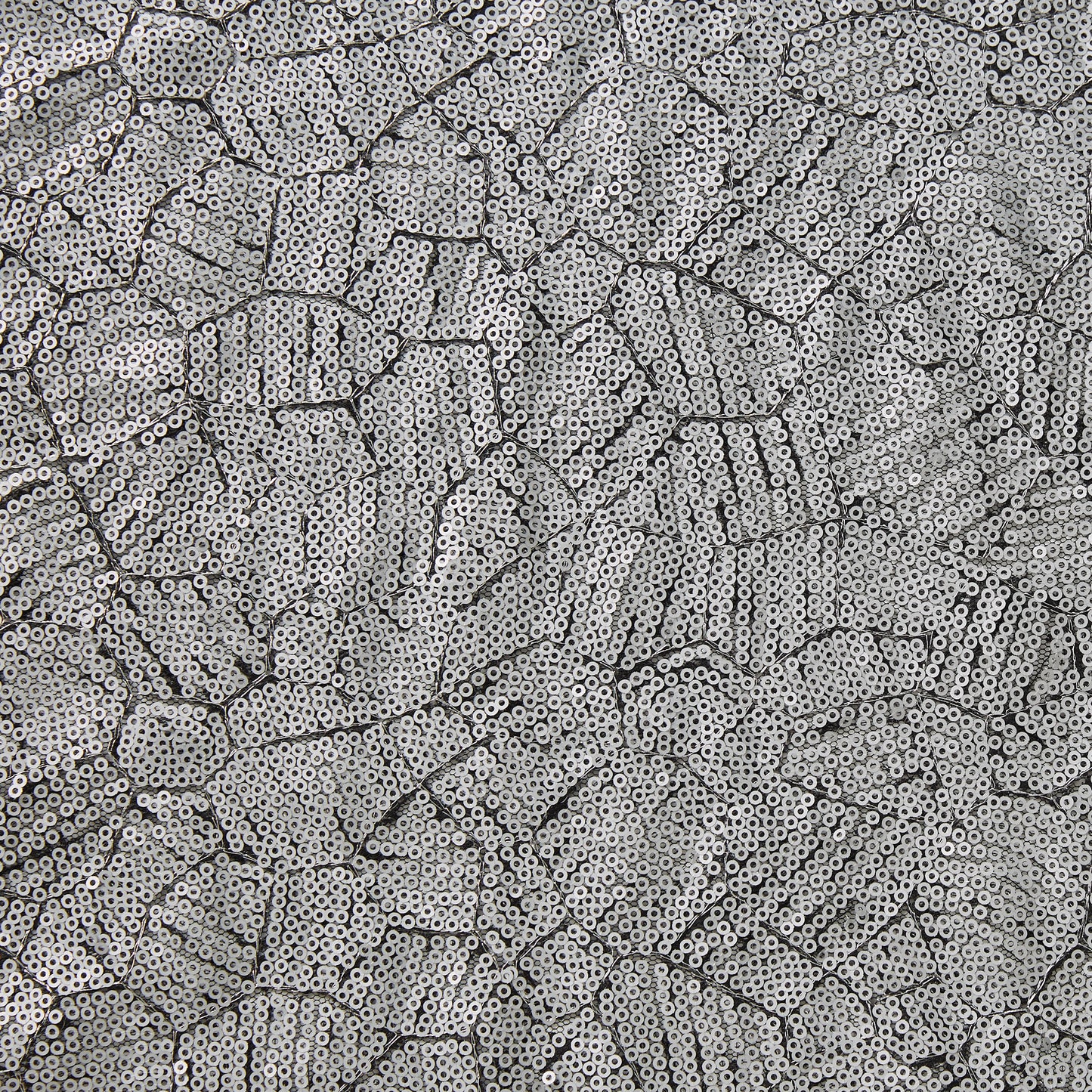 Displaying Clash which features silver colored sequins in a  abstract design on black pure polyester mesh 